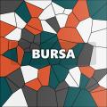 Bursa